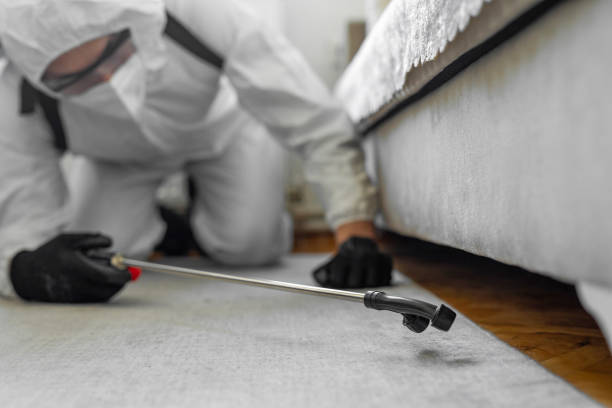 Professional Pest Control technician working in Vermont, VT
