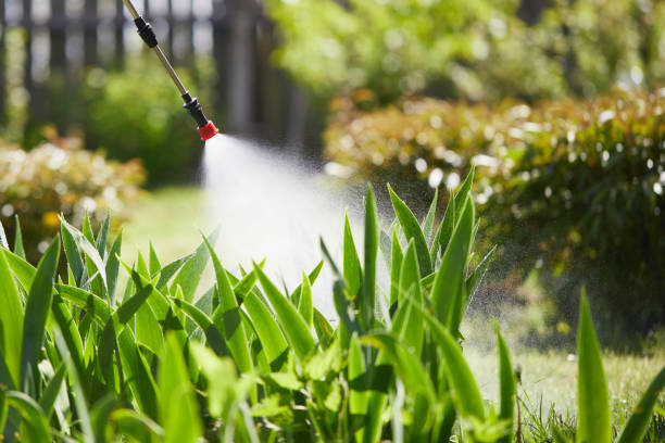 24/7 Emergency Pest Control experts in Vermont, VT